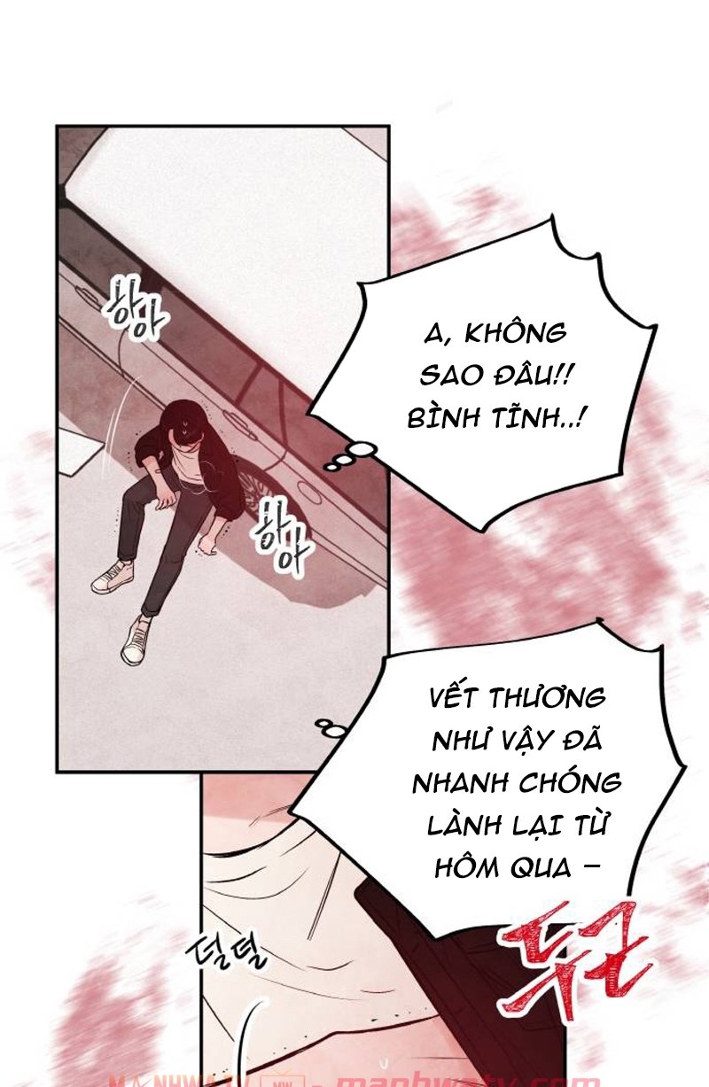 Đọc truyện Máu và Hồ điệp - Chap 9