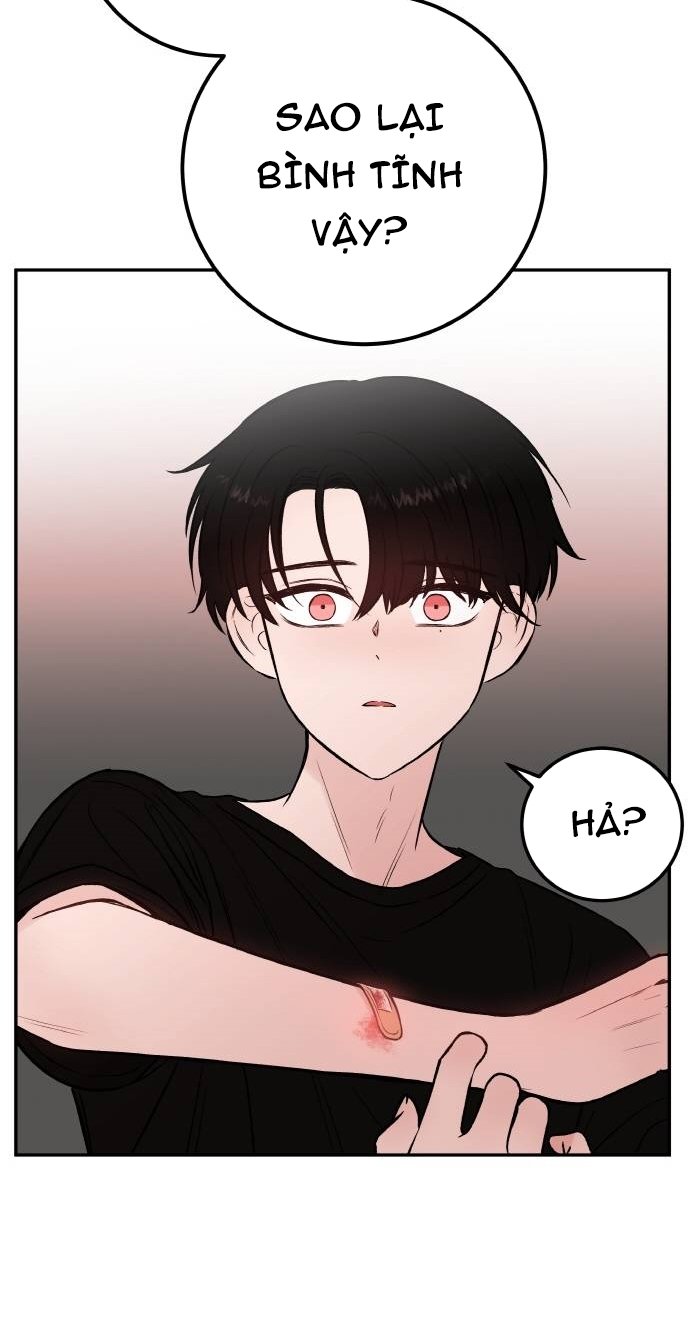 Đọc truyện Máu và Hồ điệp - Chap 8