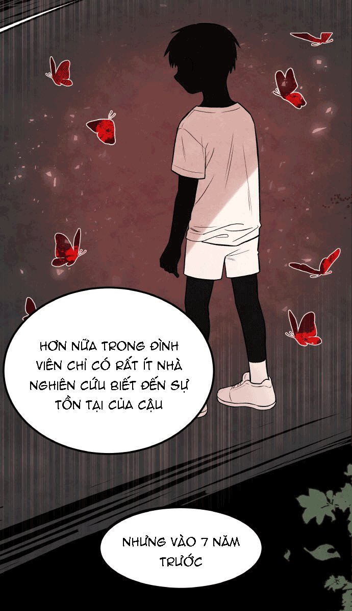 Đọc truyện Máu và Hồ điệp - Chap 4