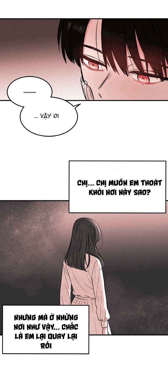 Đọc truyện Máu và Hồ điệp - Chap 4