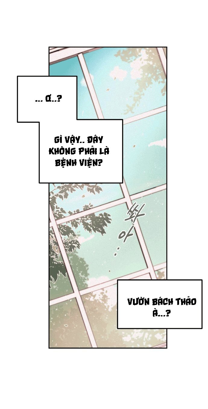 Đọc truyện Máu và Hồ điệp - Chap 3