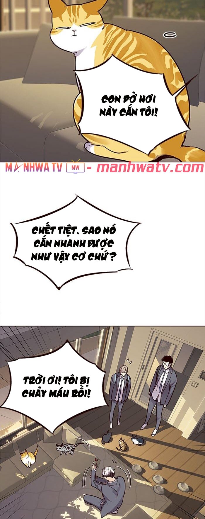 Đọc truyện Hoá thân thành mèo - Chap 38