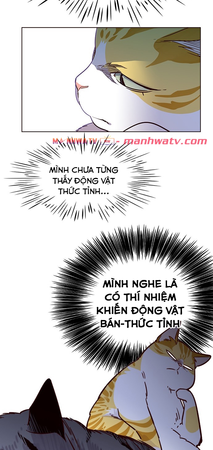 Đọc truyện Hoá thân thành mèo - Chap 6