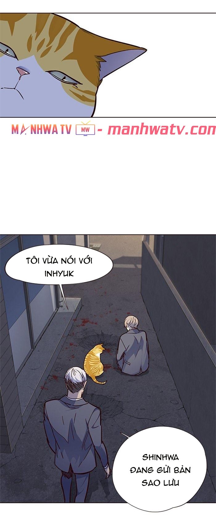 Đọc truyện Hoá thân thành mèo - Chap 41