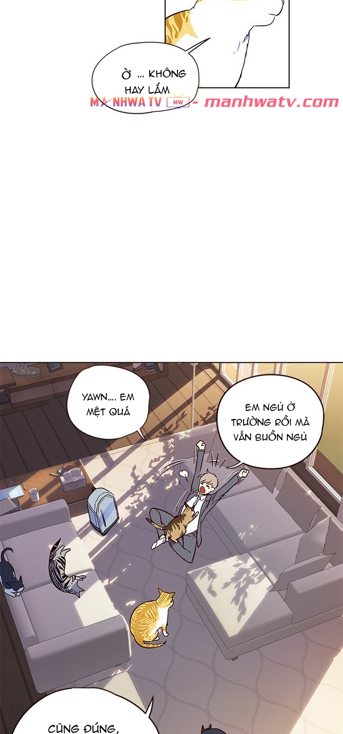 Đọc truyện Hoá thân thành mèo - Chap 7