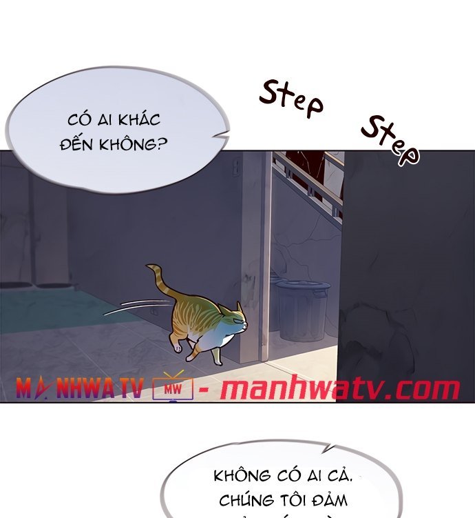 Đọc truyện Hoá thân thành mèo - Chap 19