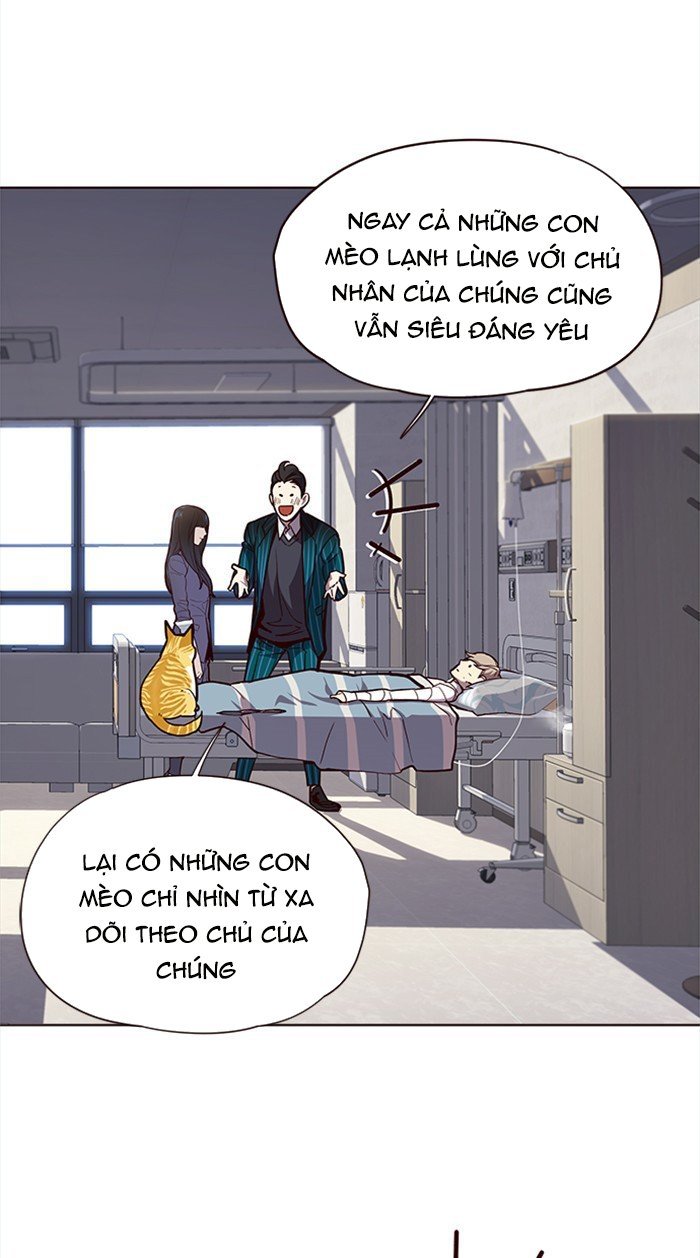 Đọc truyện Hoá thân thành mèo - Chap 28