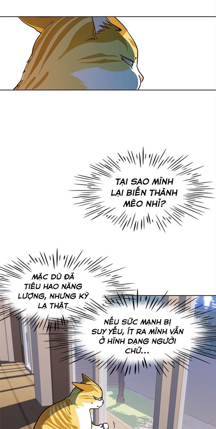 Đọc truyện Hoá thân thành mèo - Chap 16