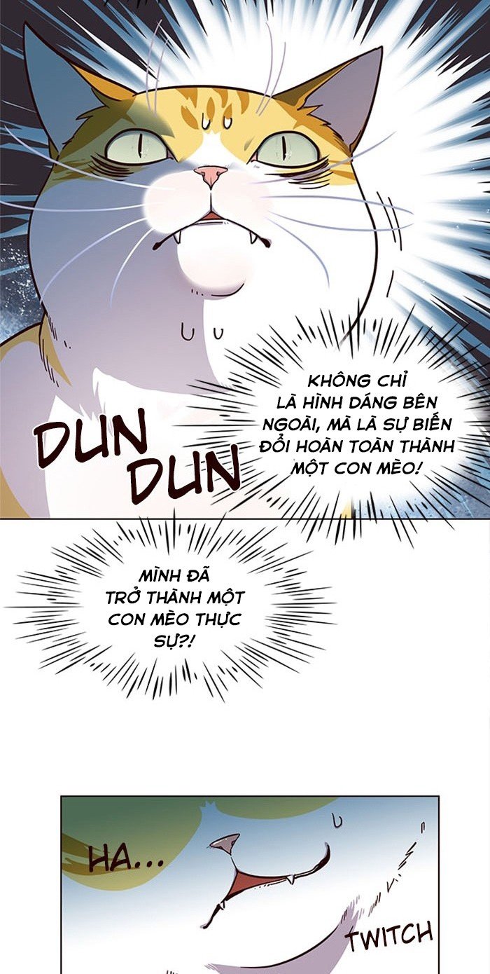 Đọc truyện Hoá thân thành mèo - Chap 16