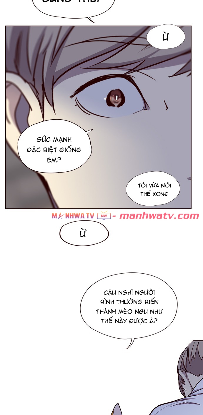 Đọc truyện Hoá thân thành mèo - Chap 4