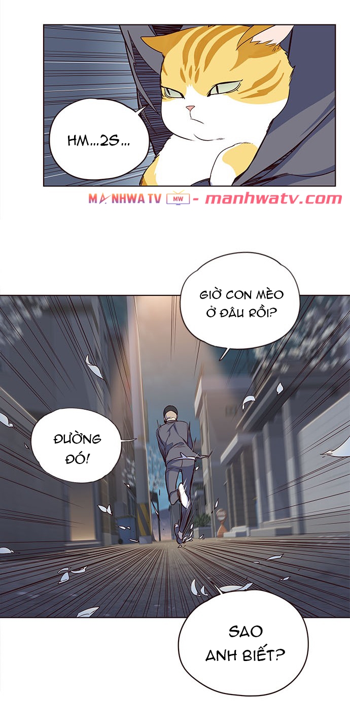 Đọc truyện Hoá thân thành mèo - Chap 5