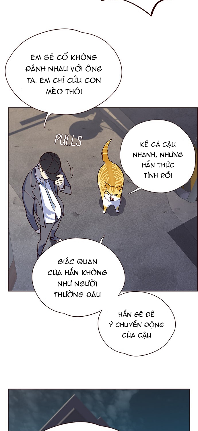 Đọc truyện Hoá thân thành mèo - Chap 5