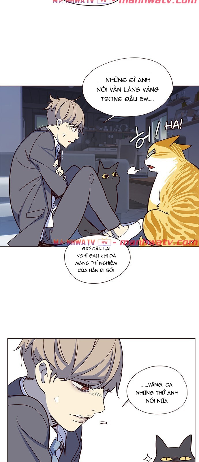 Đọc truyện Hoá thân thành mèo - Chap 8