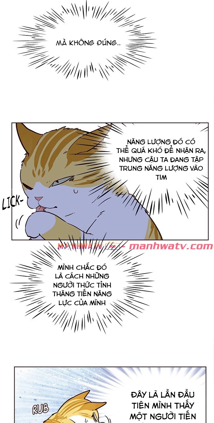 Đọc truyện Hoá thân thành mèo - Chap 9