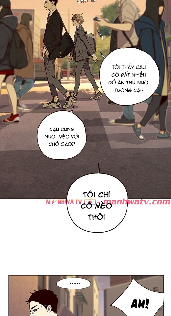 Đọc truyện Hoá thân thành mèo - Chap 9