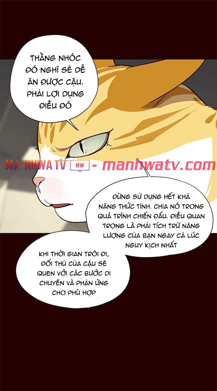 Đọc truyện Hoá thân thành mèo - Chap 27